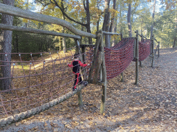 Max on a rope bridge at the playground next to the Park Pavilion