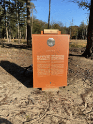 Information on paludiculture on the road from the Park Pavilion to the St. Hubertus Hunting Lodge