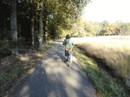 Miaomiao on her rental bike at the Hertjesweg road, viewed from Tim`s rental bike