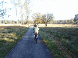 Miaomiao on her rental bike at the Hertjesweg road, viewed from Tim`s rental bike