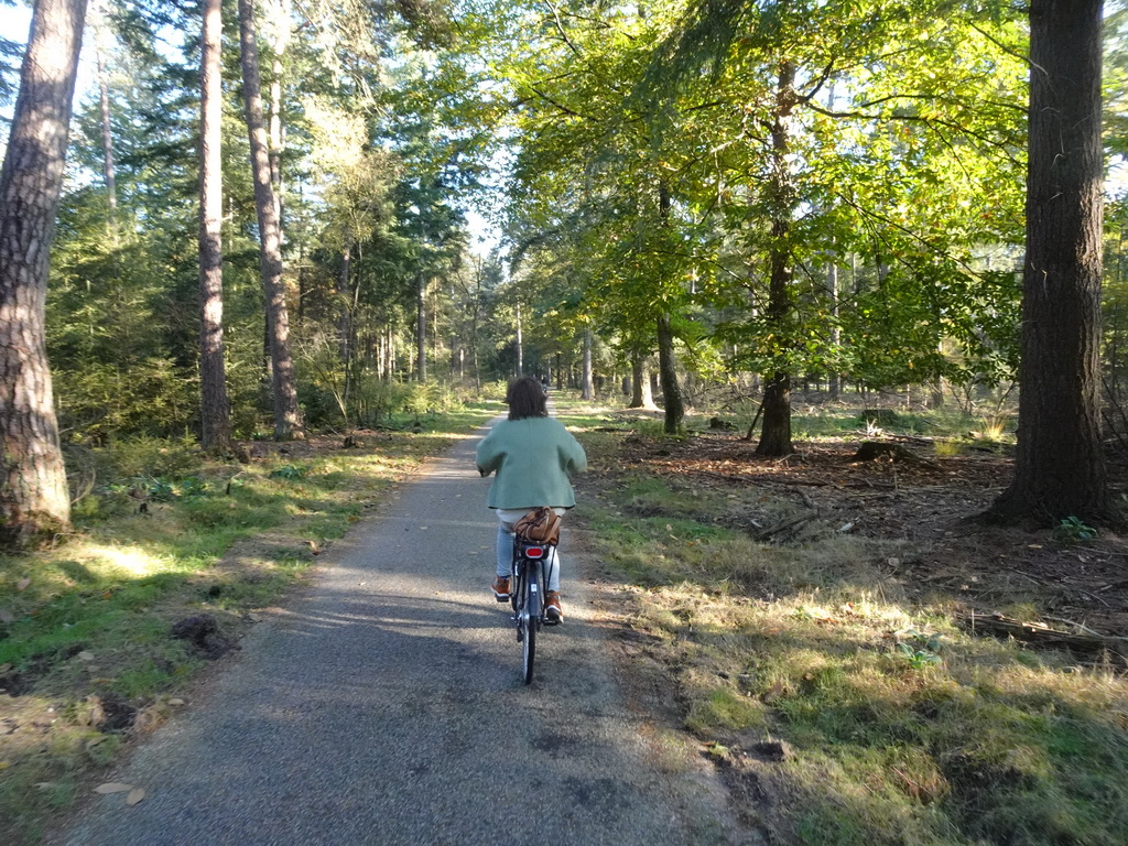 Miaomiao on her rental bike at the Houtkampweg road, viewed from Tim`s rental bike