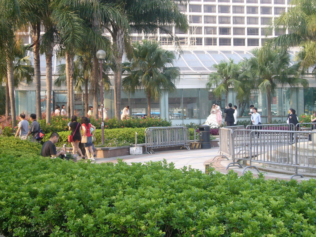 Couple getting married at the Salisbury Garden