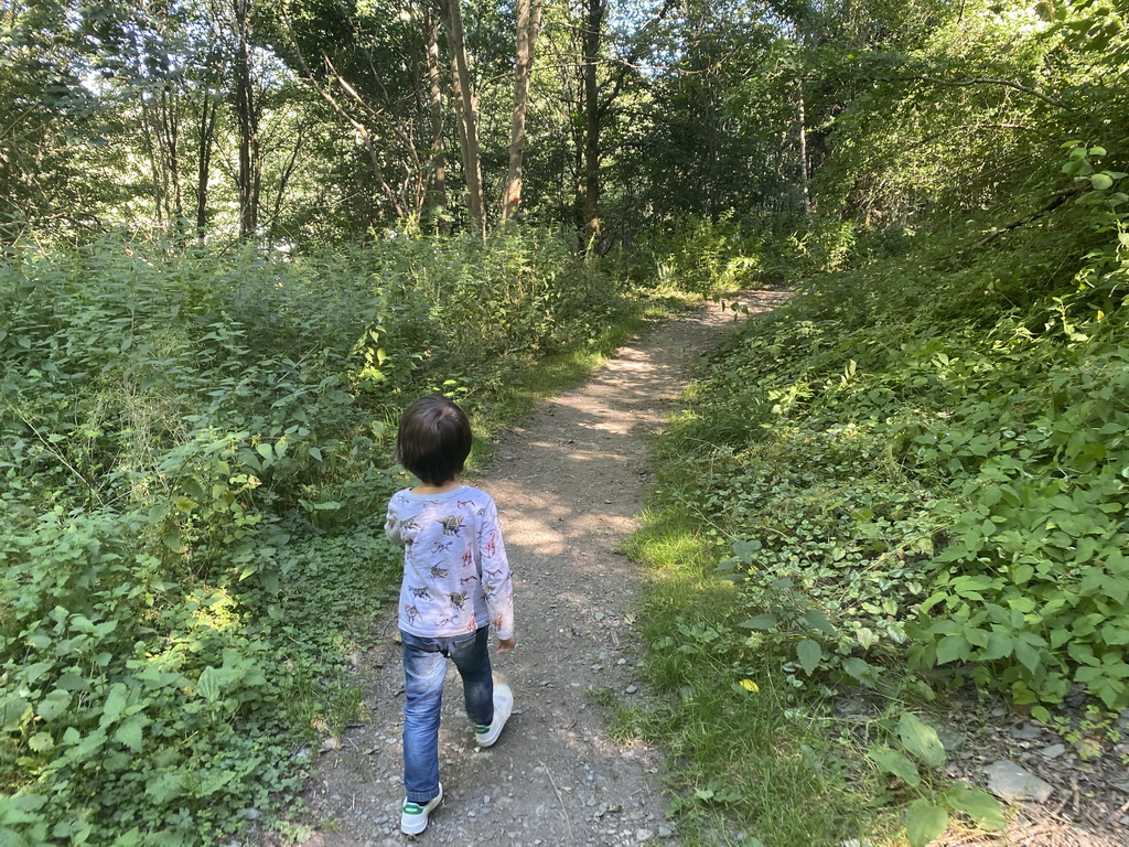 Max walking on the path from the town center to the Vayamundo Houffalize hotel