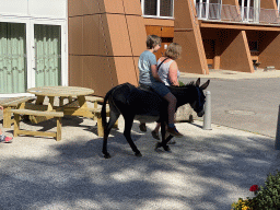 Child riding a donkey at the back side of the Vayamundo Houffalize hotel