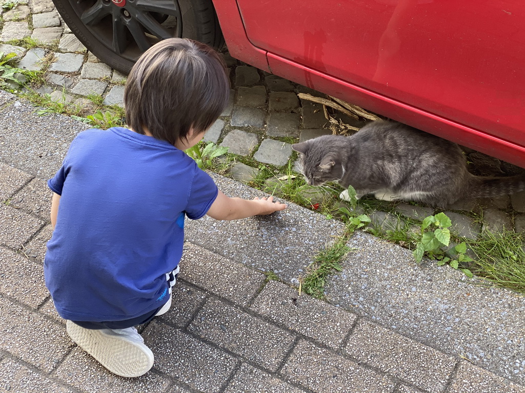 Max with a cat at the Rue Ville-Basse street