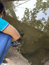 Our rope with a crayfish on it in the Eastern Ourthe river at the back side of the Vayamundo Houffalize hotel