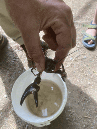 Guide with our crayfish at the back side of the Vayamundo Houffalize hotel