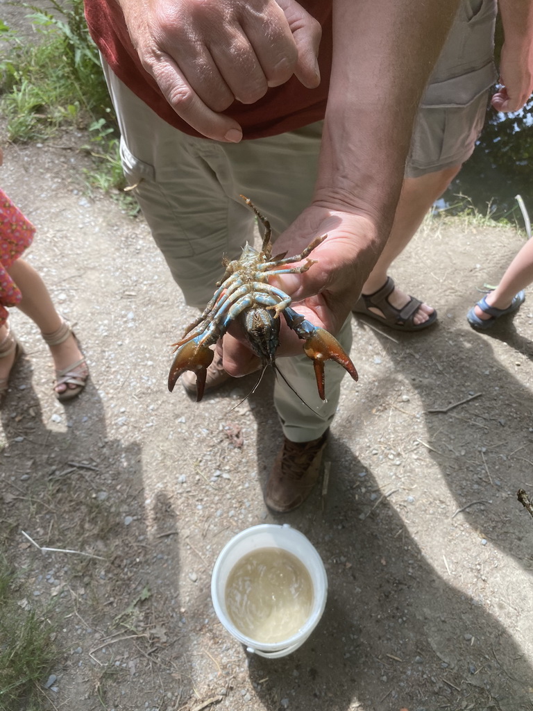 Guide with our crayfish at the back side of the Vayamundo Houffalize hotel