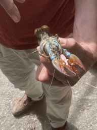 Guide with our crayfish at the back side of the Vayamundo Houffalize hotel