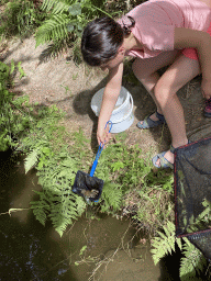 Person catching crayfish in the Eastern Ourthe river at the back side of the Vayamundo Houffalize hotel