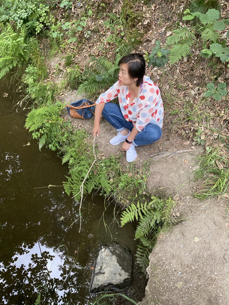 Miaomiao catching crayfish in the Eastern Ourthe river at the back side of the Vayamundo Houffalize hotel