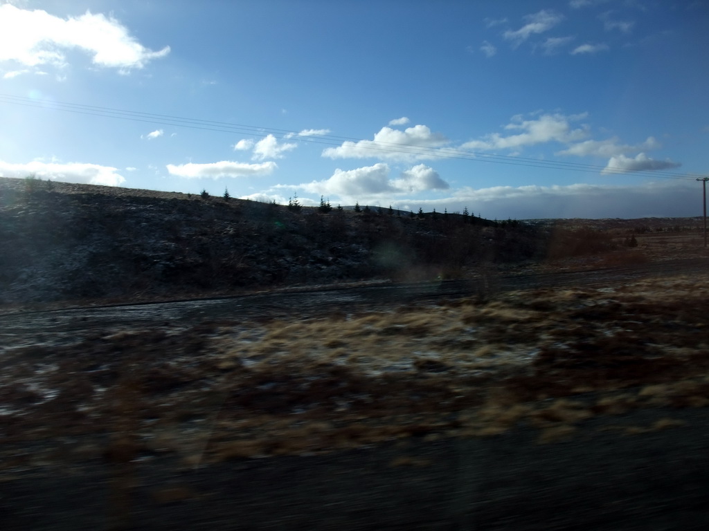 Hills and trees alongside the Suðurlandsvegur road, viewed from the rental car