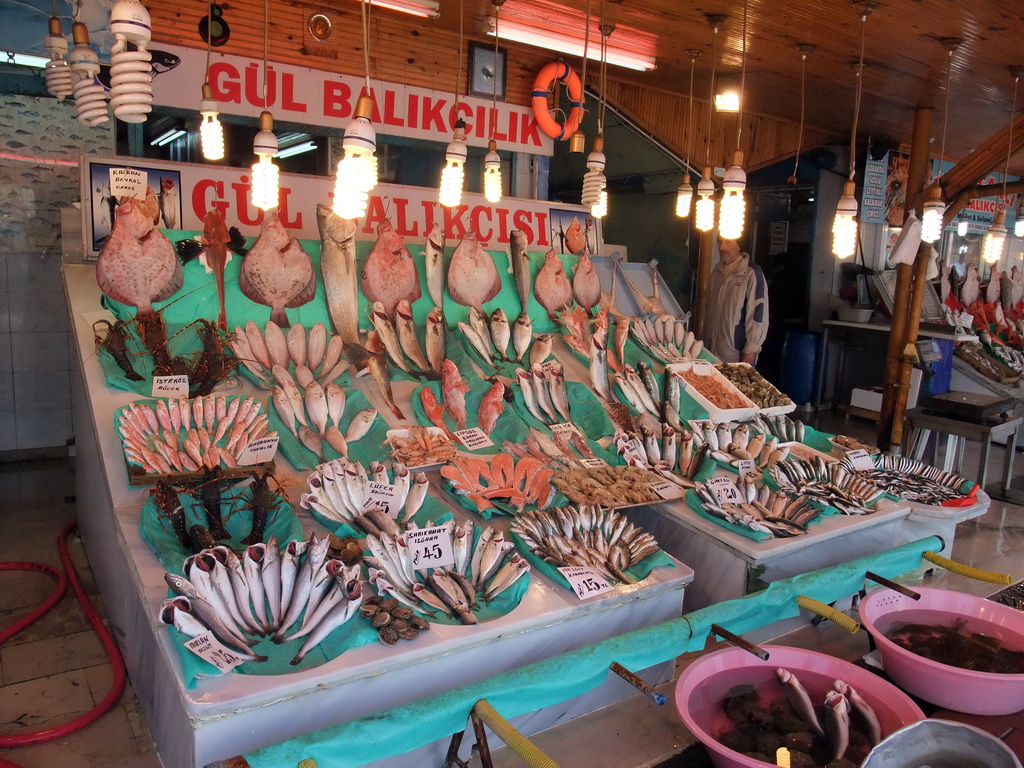 Fish market in the Kumkapi neighborhood