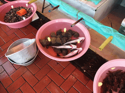 Buckets with seafood at the fish market in the Kumkapi neighborhood
