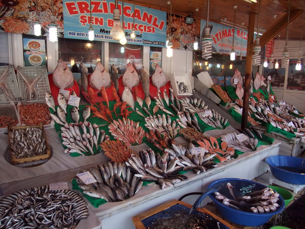 Fish market in the Kumkapi neighborhood