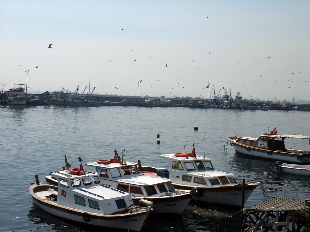 Boats and birds in the Sea of Marmara, in the harbour of the Kumkapi neighborhood