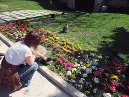 Miaomiao with cats and flowers in the First Courtyard of Topkapi Palace