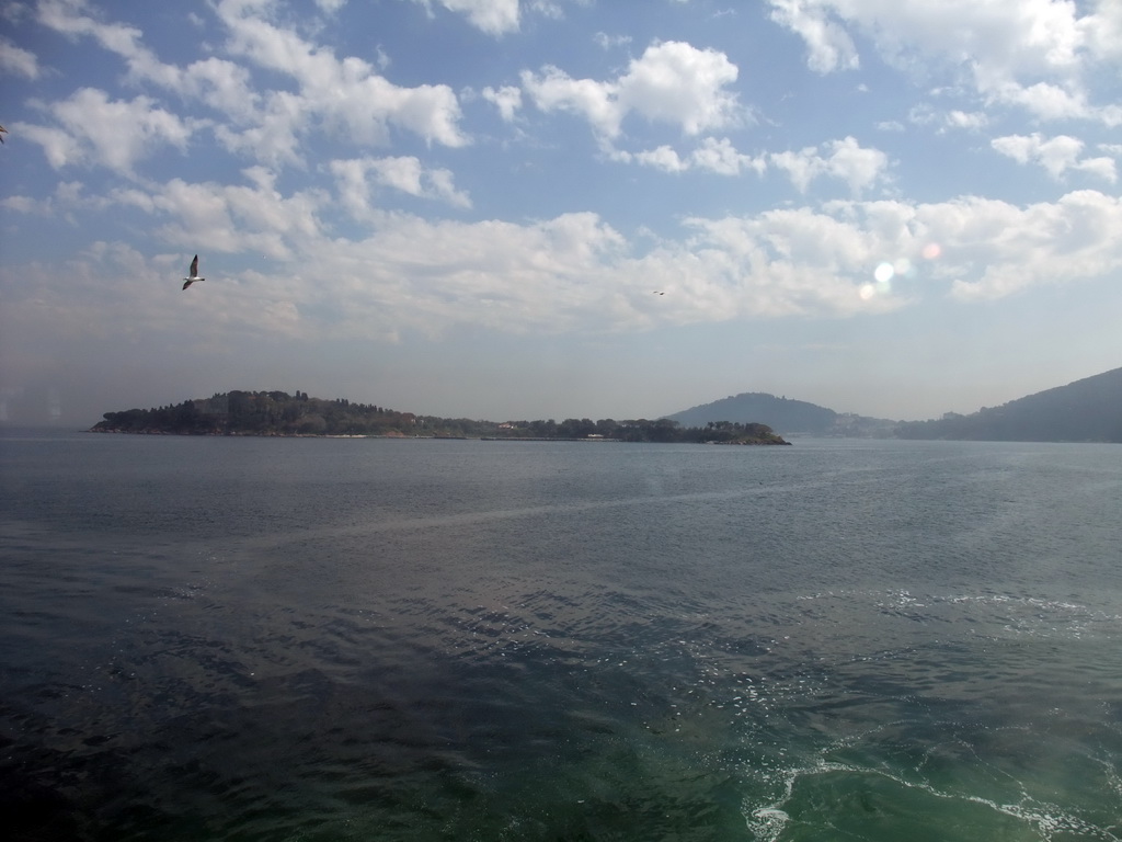 Kasik island, viewed from the ferry