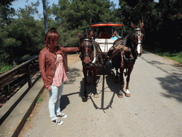 Miaomiao, Ana and Nardy with horses and carriage at Heybeliada island