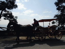 Our horses and carriage at Heybeliada island