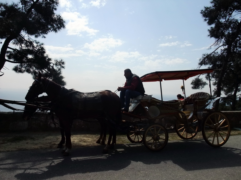 Our horses and carriage at Heybeliada island