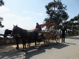 Tim with horses and carriage at Heybeliada island