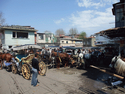 Horses and carriages at Büyükada island