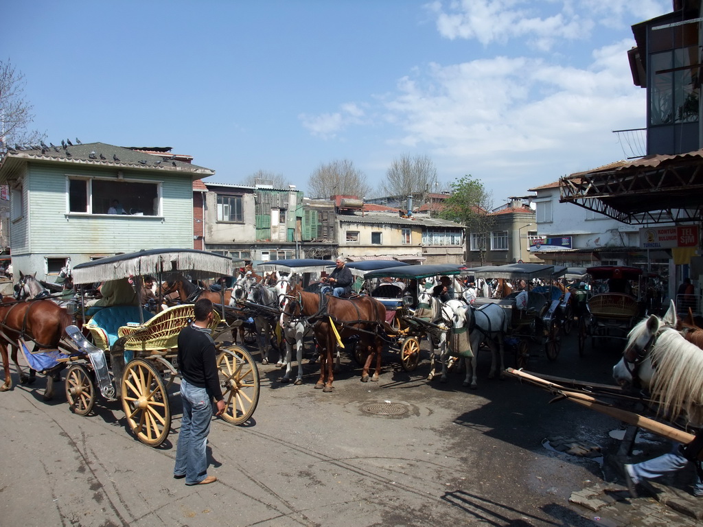 Horses and carriages at Büyükada island