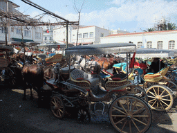 Horses and carriages at Büyükada island