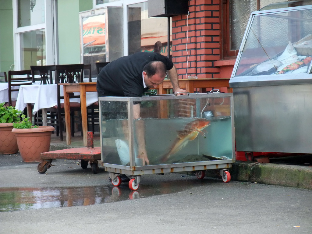 Live fish at our lunch restaurant at Büyükada island