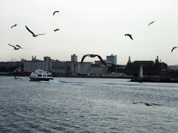 The Kadikoy district with the Istanbul Haydarpasa Terminal, birds and boats in the Bosphorus strait, viewed from the ferry