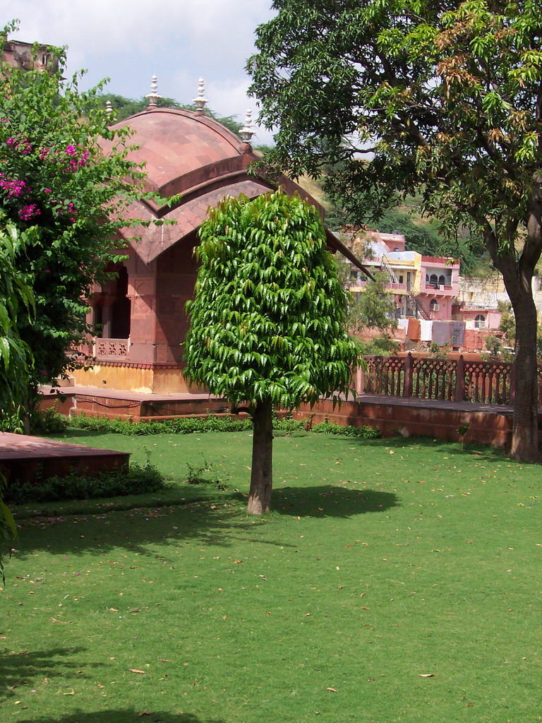 Pavilion and trees at the Amber Fort Garden