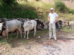 Tim and cows at Amber Fort