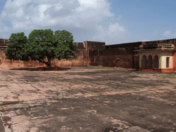 Square with tree at Jaigarh Fort