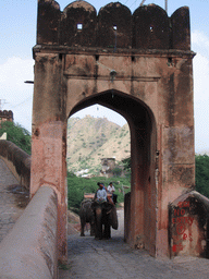 Gate and elephants at the road from Jaigarh Fort to Amber Fort