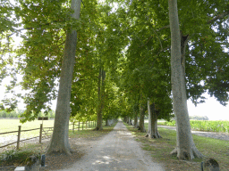 Lane in front of the Château de Beauregard castle