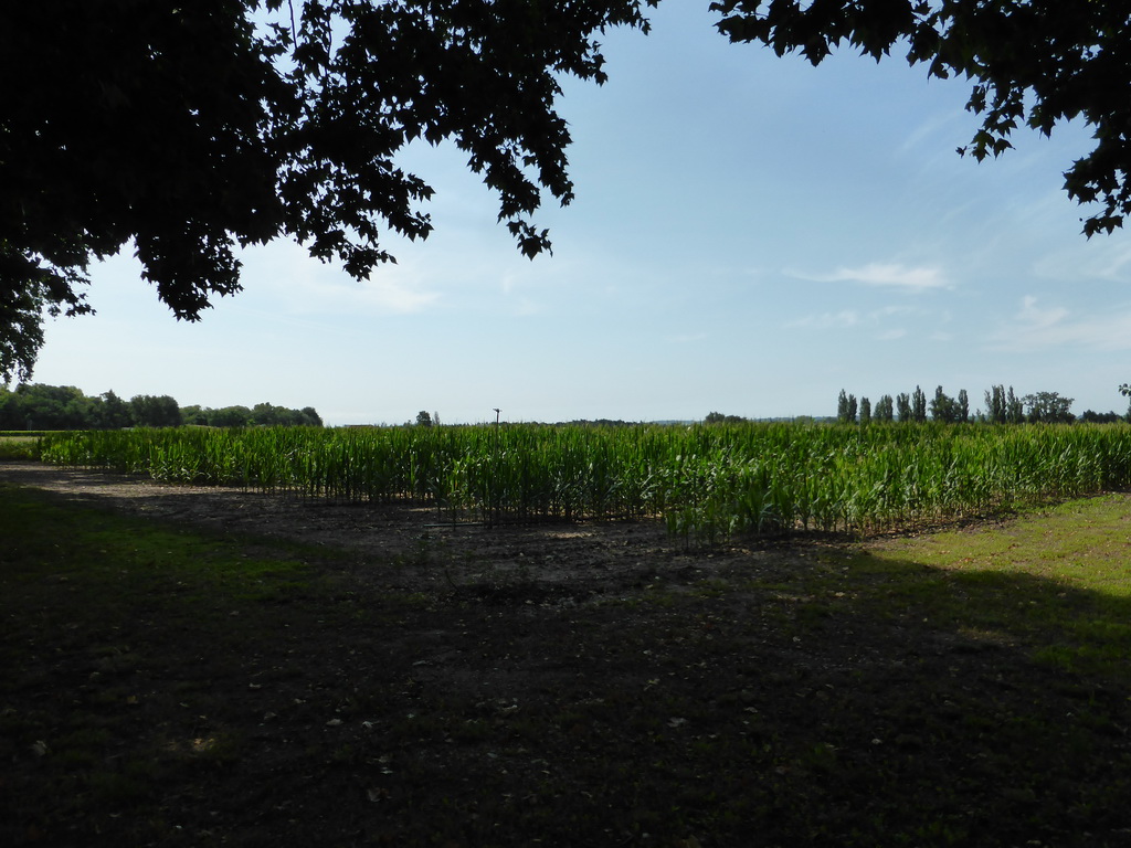 Field in front of the Château de Beauregard castle