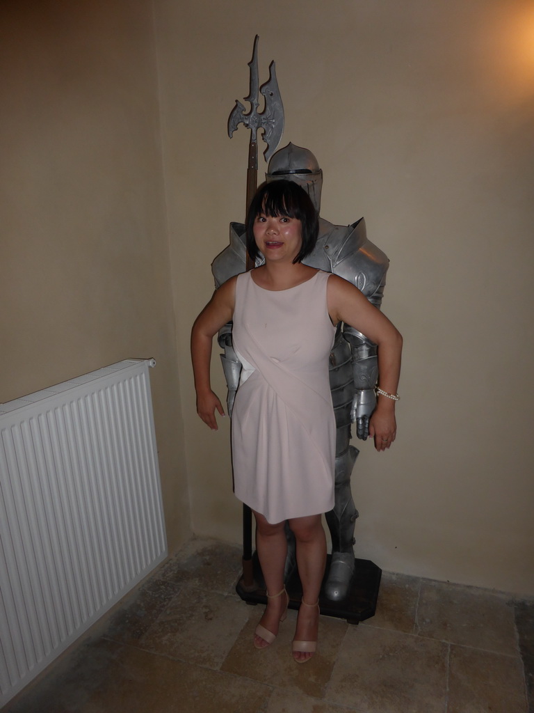 Miaomiao with an armour at the ground floor of the Château de Beauregard castle