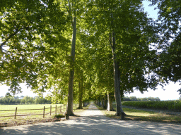 Lane in front of the Château de Beauregard castle