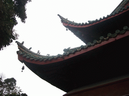 Roof of Youguo Temple