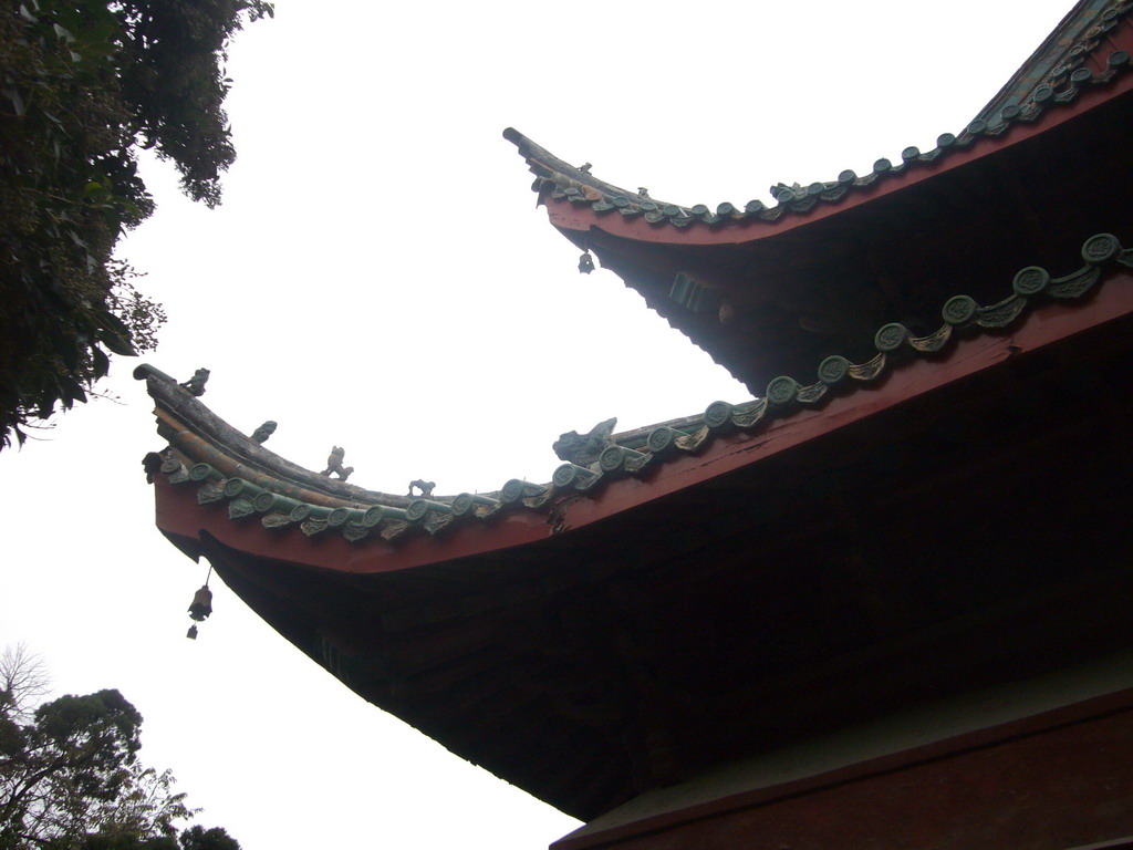 Roof of Youguo Temple