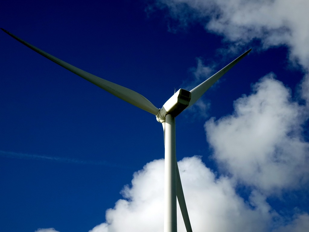 Windmill, viewed from the Jacobahaven street