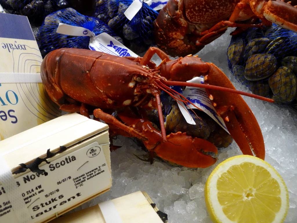 Lobster at the Seafarm restaurant