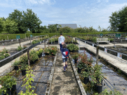 Miaomiao and Max at the nursery garden at the Zeeuwse Oase garden