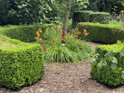 Flowers at the Lindenhof garden at the Zeeuwse Oase garden