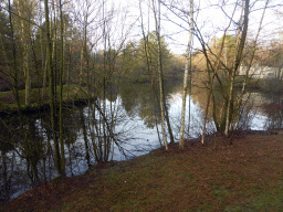 Lake at the back side of our holiday home at the Center Parcs Kempervennen holiday park