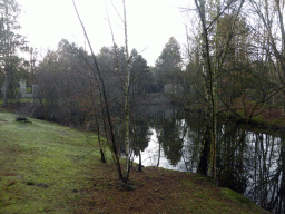 Garden and lake at the back side of our holiday home at the Center Parcs Kempervennen holiday park