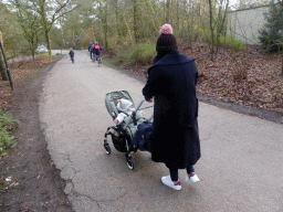 Miaomiao with Max in a trolley on a road at the Center Parcs Kempervennen holiday park