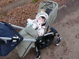 Max in a trolley on a road at the Center Parcs Kempervennen holiday park