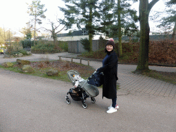 Miaomiao with Max in a trolley on a road at the Center Parcs Kempervennen holiday park